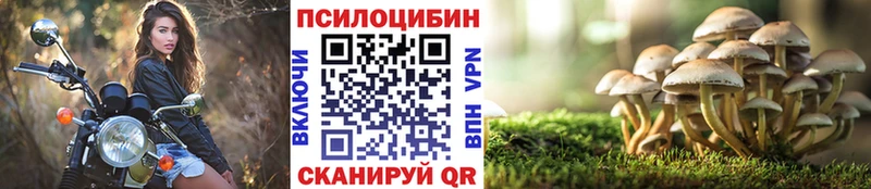 купить наркоту  Трёхгорный  Галлюциногенные грибы Cubensis 